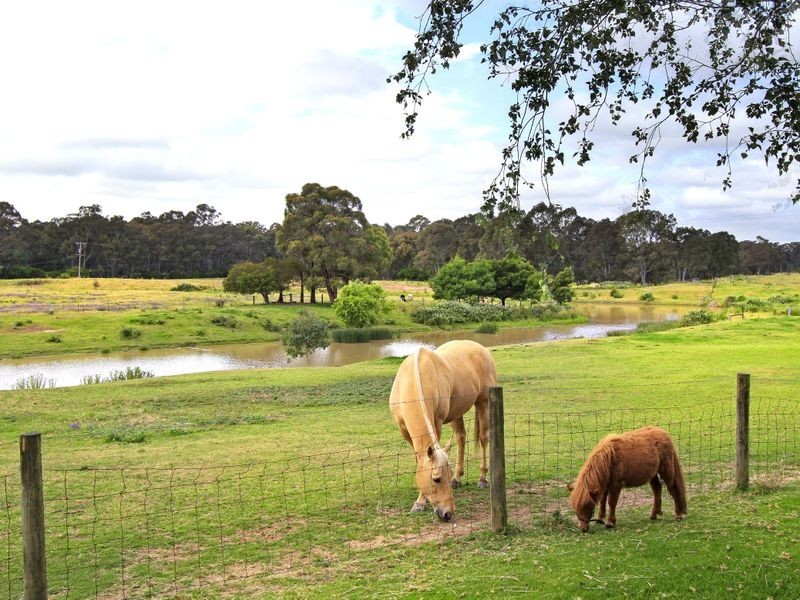 54 Riverview Road, Wurruk VIC 3850