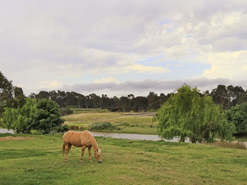 54 Riverview Road, Wurruk VIC 3850