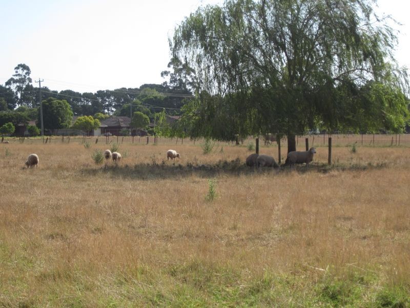 309 Dawson Street, Sale VIC 3850