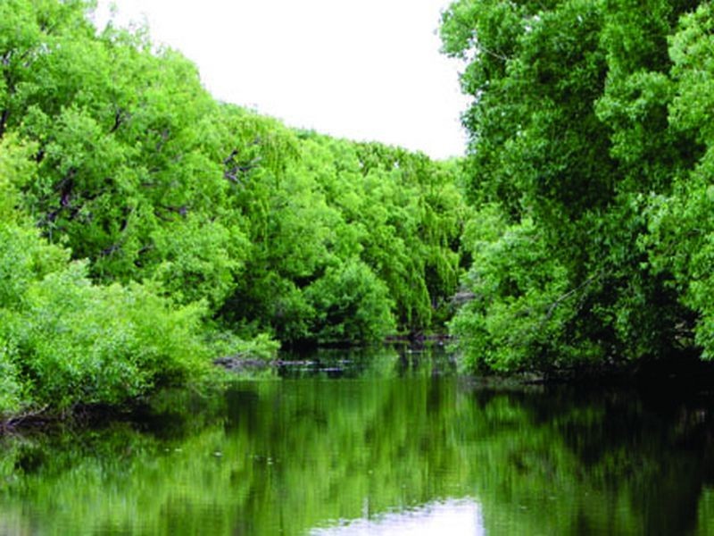 56 Coghlans Lane, Heyfield VIC 3858