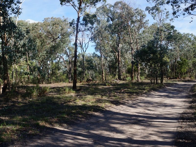 44 Bedggoods And Richardsons Road, Briagolong VIC 3860