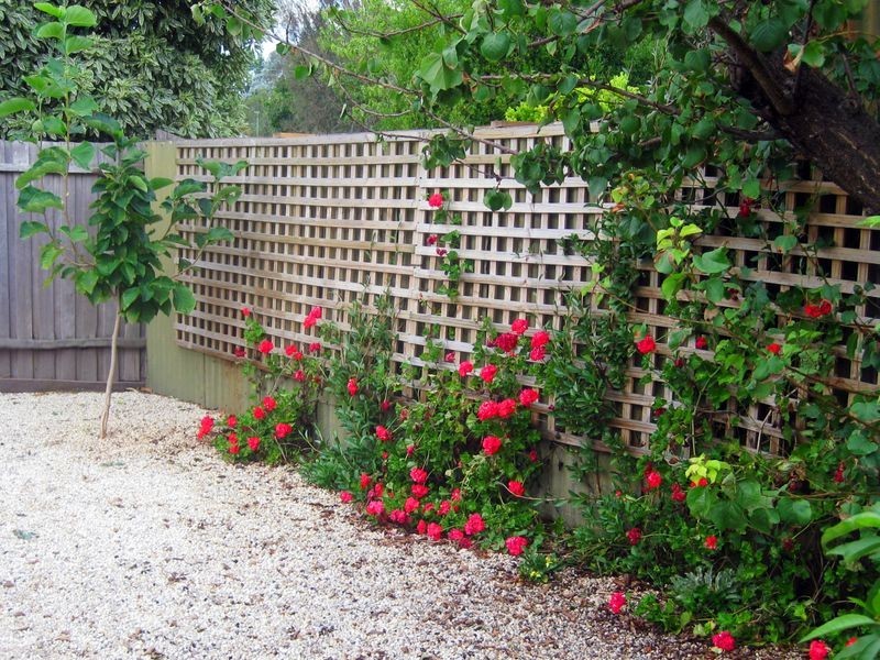 10 Victoria Street, Briagolong VIC 3860