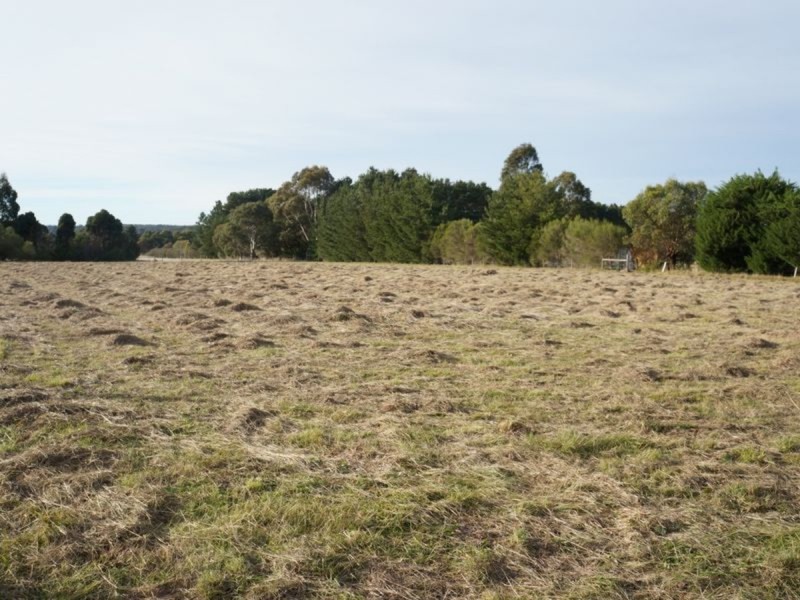 44 Hampton Court, Longford VIC 3851