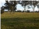 Lot 1 Freemans Lane, Stratford VIC 3862