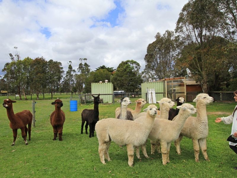 529 Settlement Road, Sale VIC 3850