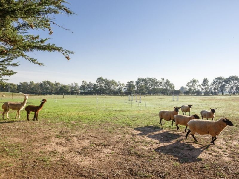 195 Stockdale Road, Stratford VIC 3862