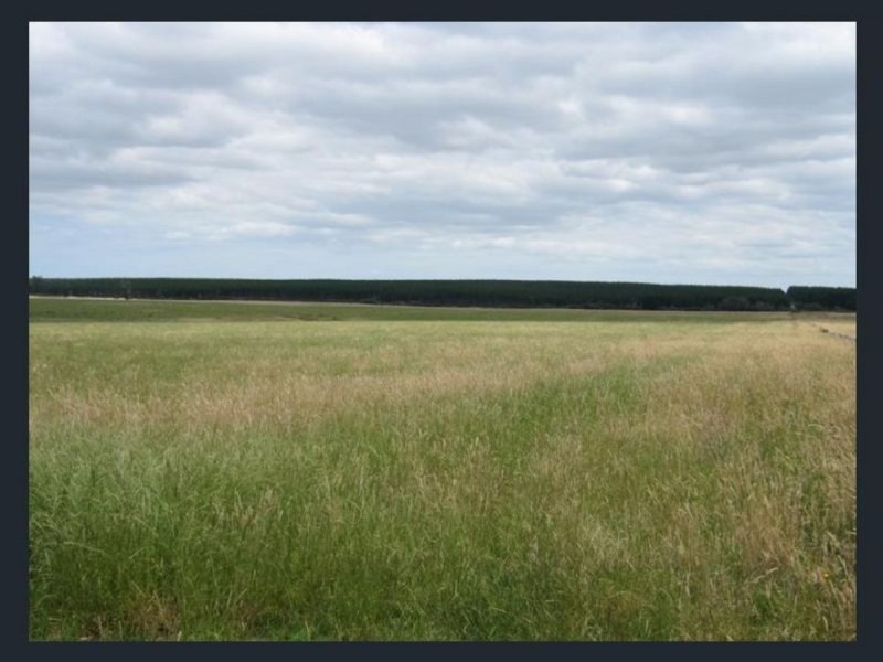 370 Seaspray Road, Longford VIC 3851