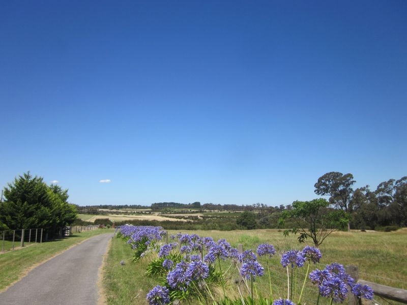 163 Cobb Road, Longford VIC 3851