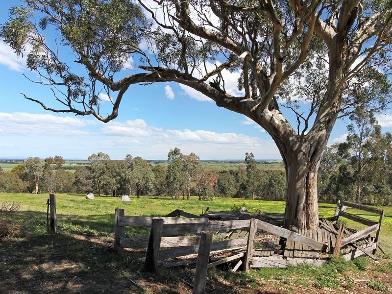 25 Newton Drive, Stratford VIC 3862
