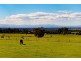 Lot 4 Andrews Road, Longford VIC 3851