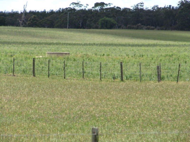 5647 South Gippsland Highway, Stradbroke VIC 3851