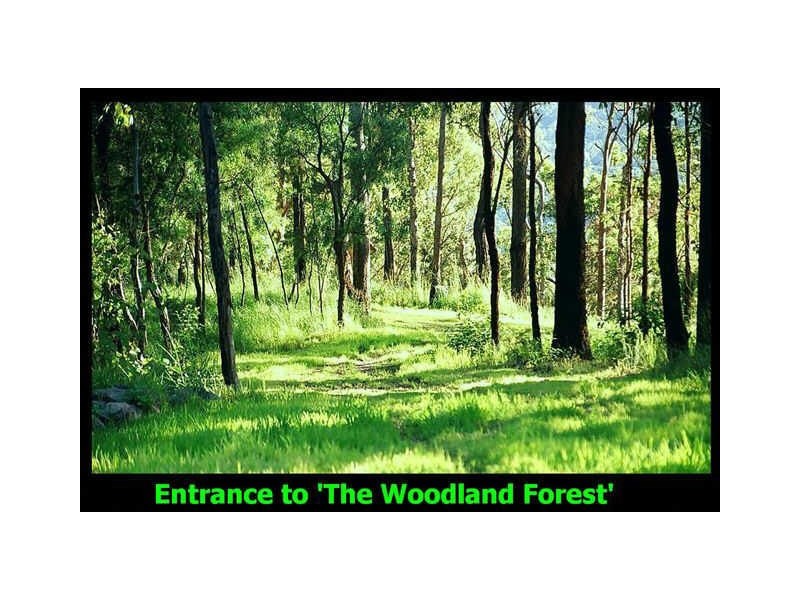 385 The Panorama, Tallai QLD 4213