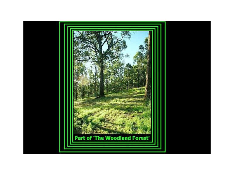 385 The Panorama, Tallai QLD 4213