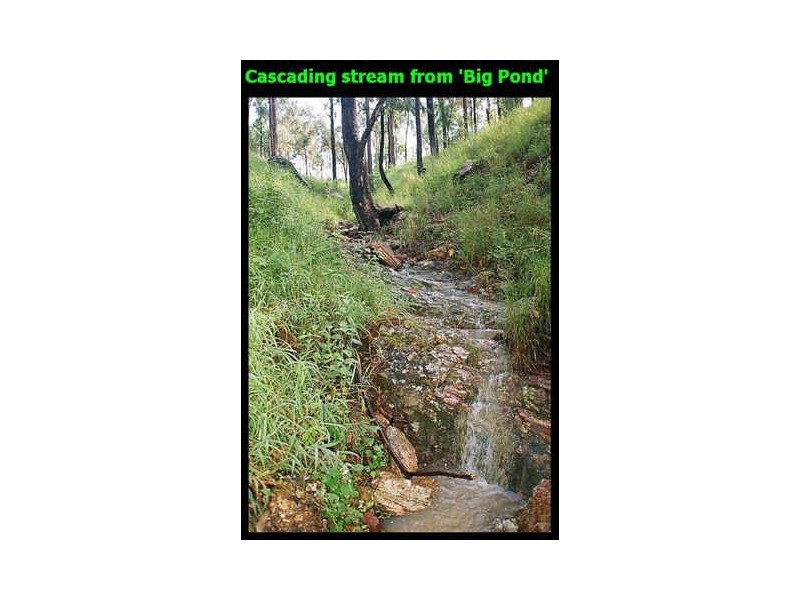 385 The Panorama, Tallai QLD 4213