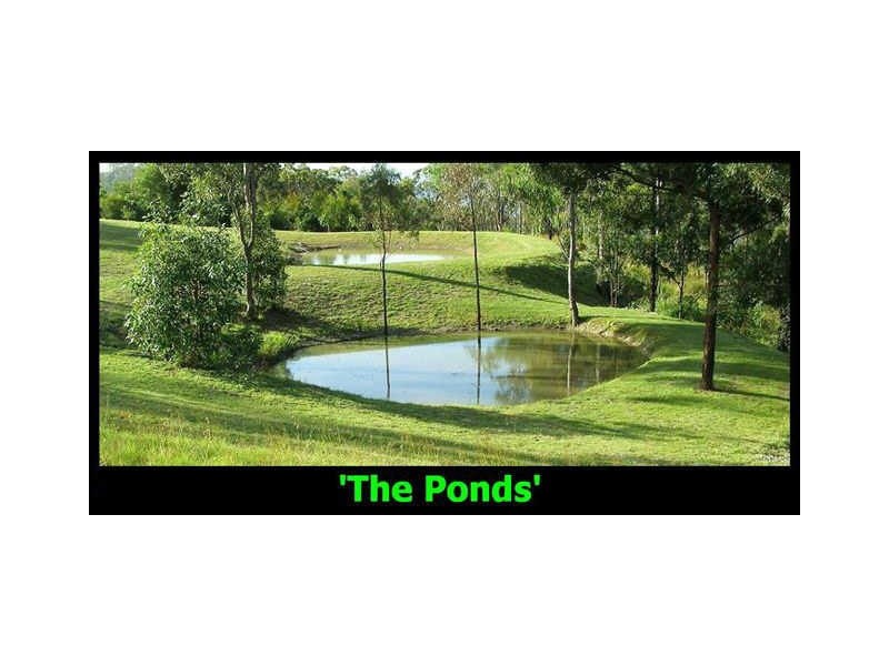 385 The Panorama, Tallai QLD 4213