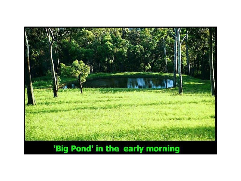 385 The Panorama, Tallai QLD 4213