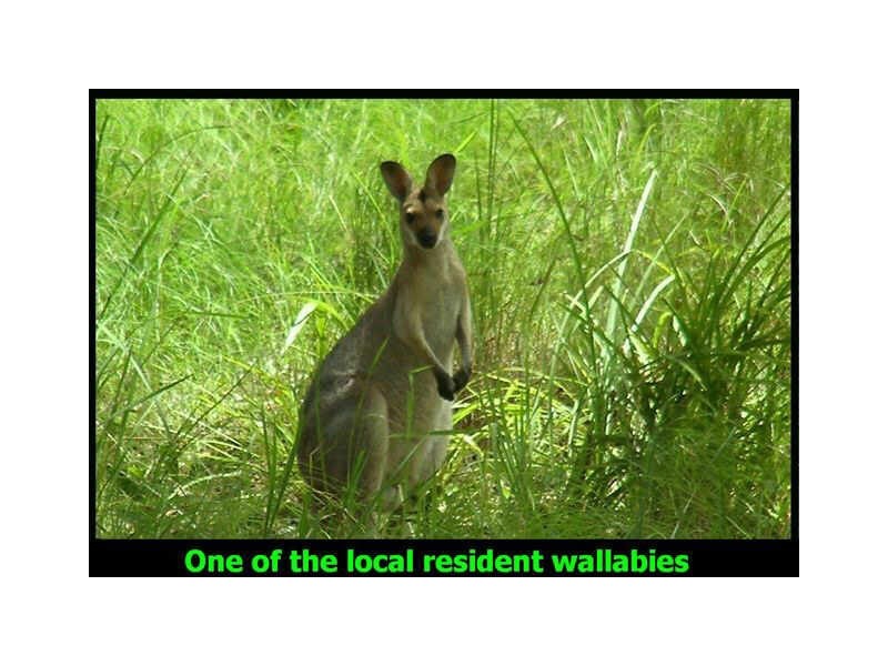 385 The Panorama, Tallai QLD 4213