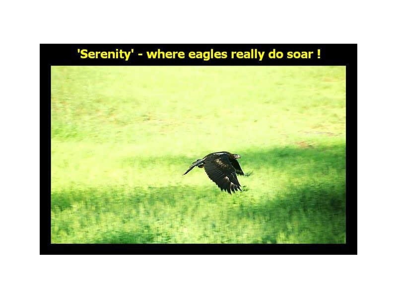 385 The Panorama, Tallai QLD 4213