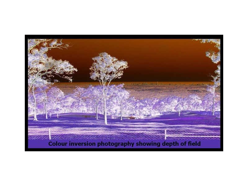 385 The Panorama, Tallai QLD 4213