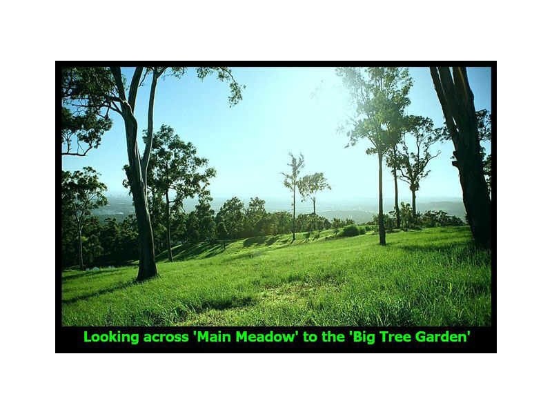 385 The Panorama, Tallai QLD 4213