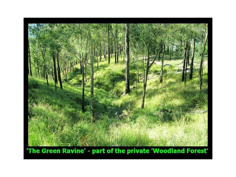 385 The Panorama, Tallai QLD 4213