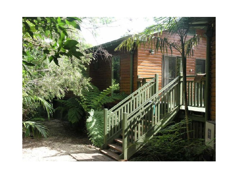 2204 Springbrook Road, Springbrook QLD 4213