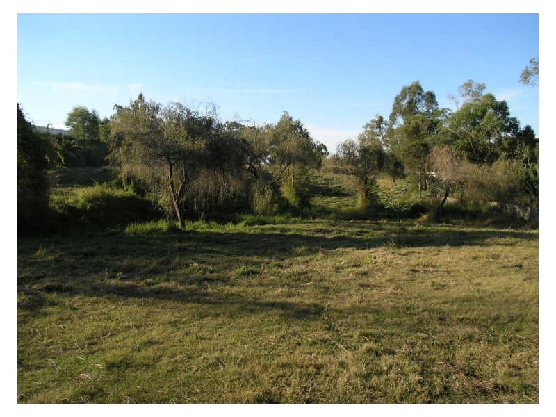 293 San Fernando Drive, Worongary QLD 4213