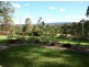 Nerang QLD 4211