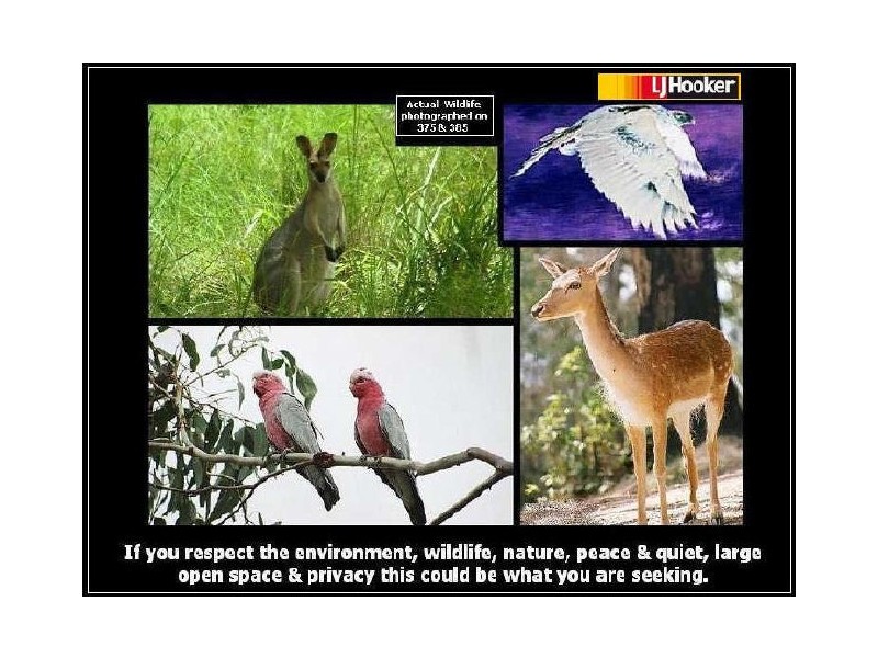 375 The Panorama, Tallai QLD 4213