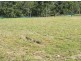 21 Skywatch Cct, Reedy Creek QLD 4227
