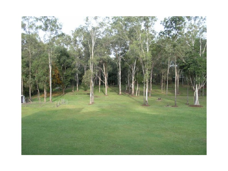 69 Fern Tree Gully, Willow Vale QLD 4209