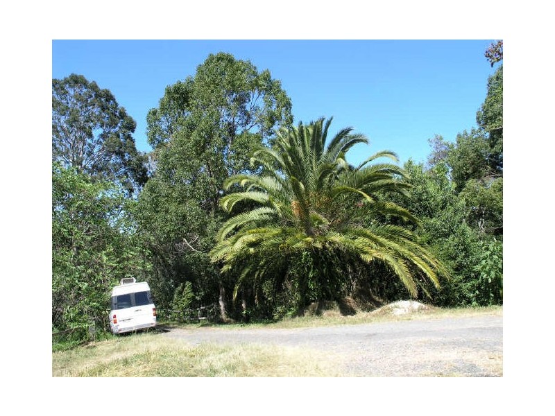 564 Currumbin Creek Road, Currumbin Valley QLD 4223