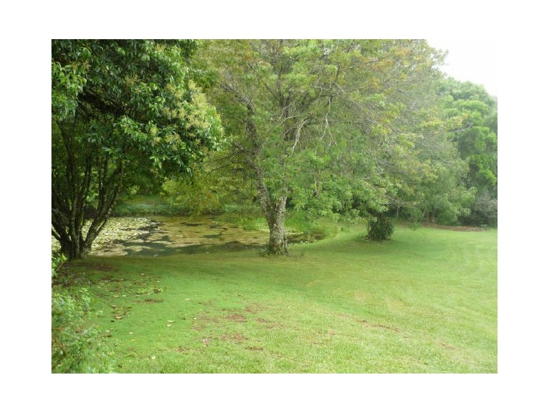 2756 Springbrook Road, Springbrook QLD 4213