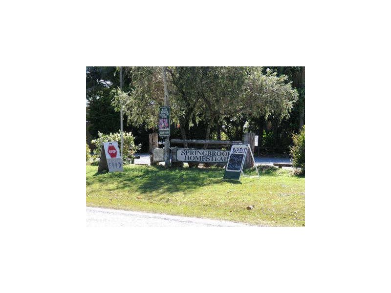 2319 Springbrook Rd, Springbrook QLD 4213