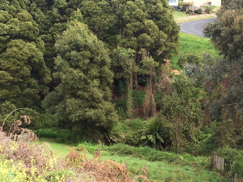 2 West Street, Upper Burnie TAS 7320