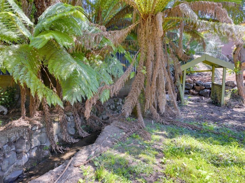 144 Mount Street, Burnie TAS 7320