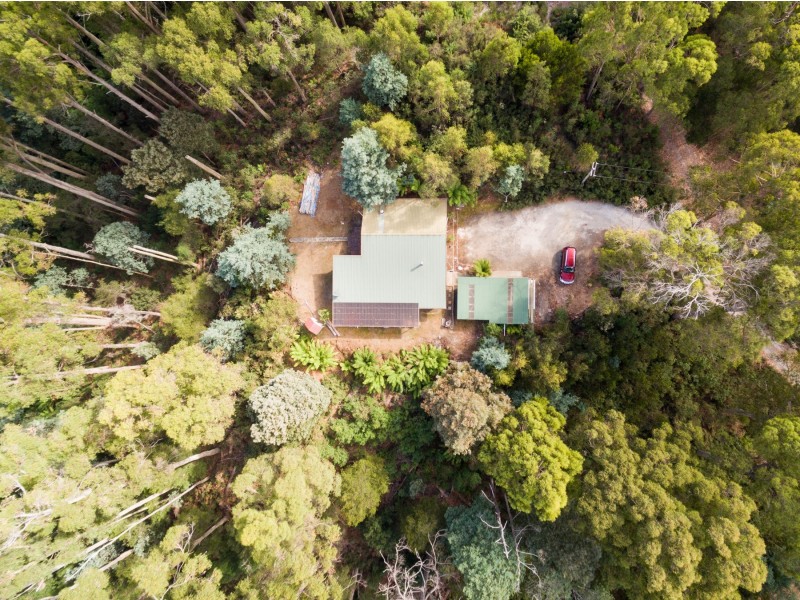 60 Leatherwood Drive, Penguin TAS 7316