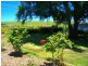 14 South Prospect Road, Black River TAS 7321