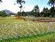 14 Fincham Street, Zeehan TAS 7469
