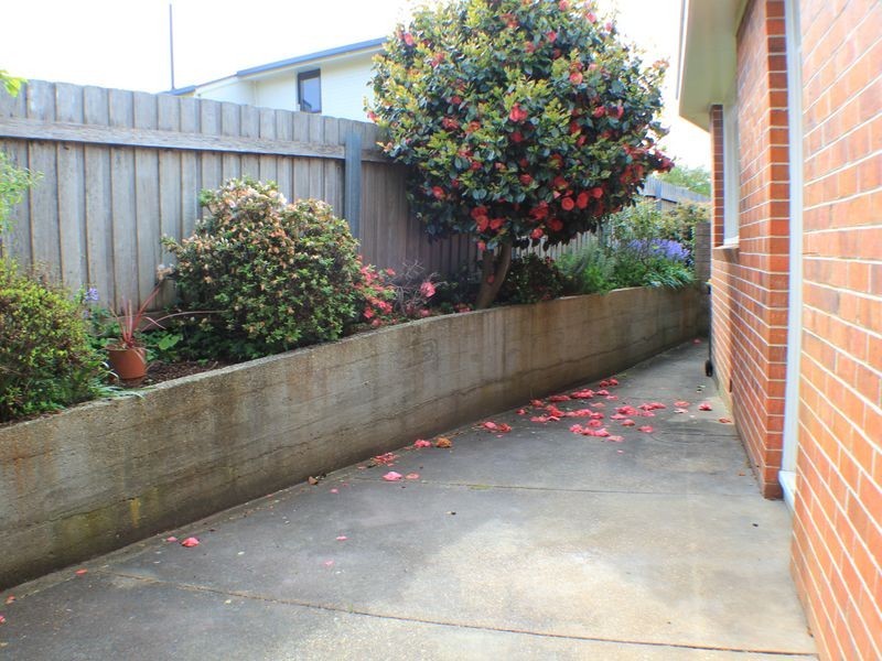 3 14 Howe Street, Park Grove TAS 7320