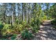 - Upper Natone Road, Upper Natone TAS 7321