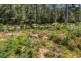 - Upper Natone Road, Upper Natone TAS 7321