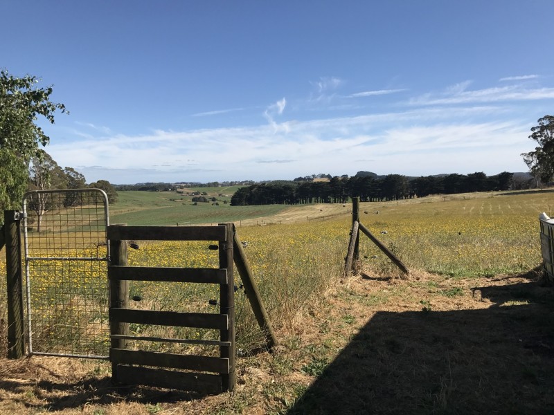 168 Guide Road, West Ridgley TAS 7321