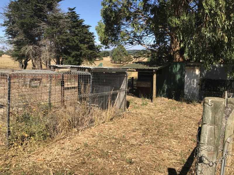 168 Guide Road, West Ridgley TAS 7321