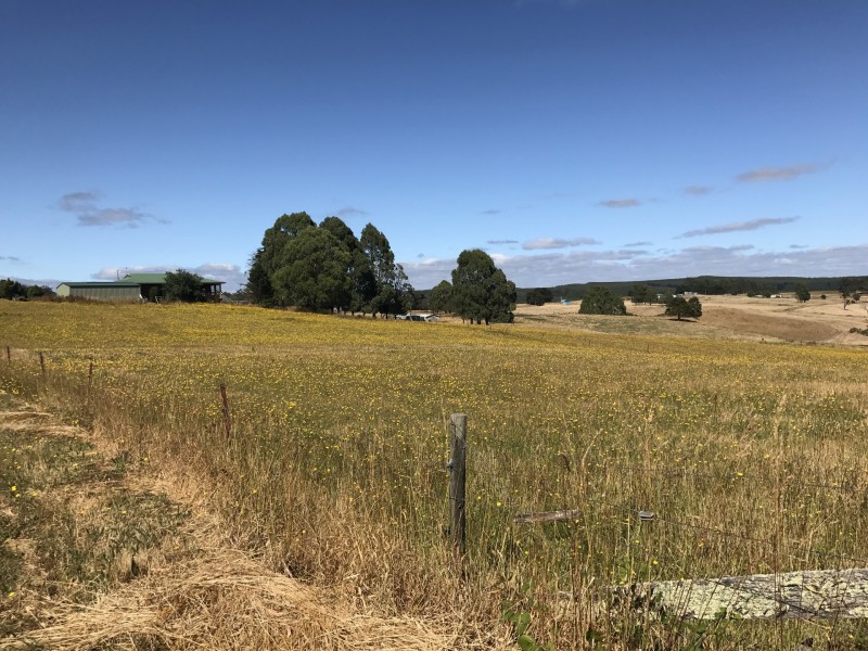 168 Guide Road, West Ridgley TAS 7321