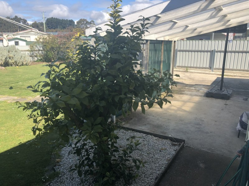 1 Vertigan Place, Ulverstone TAS 7315