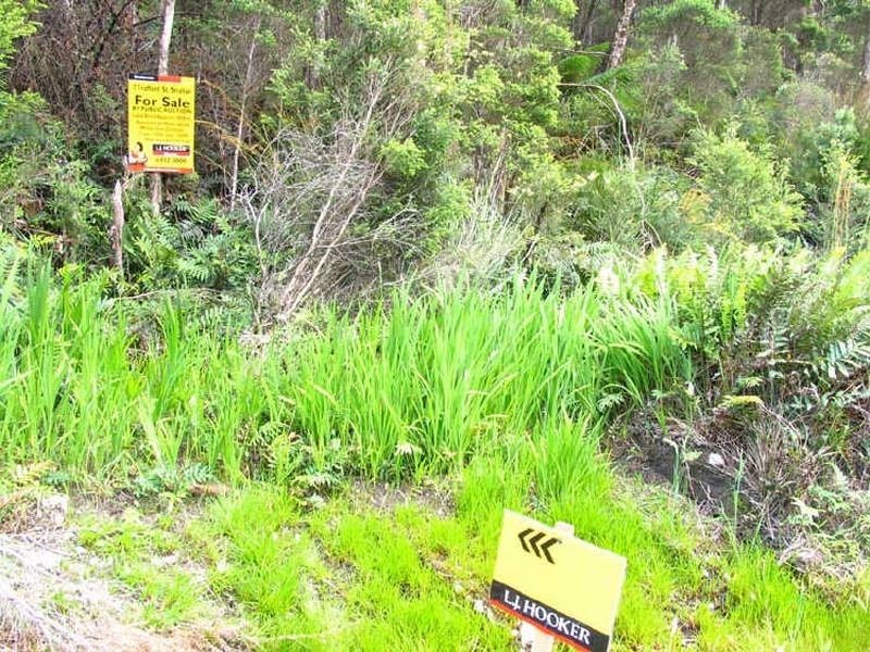 7 Trafford Street, Strahan TAS 7468