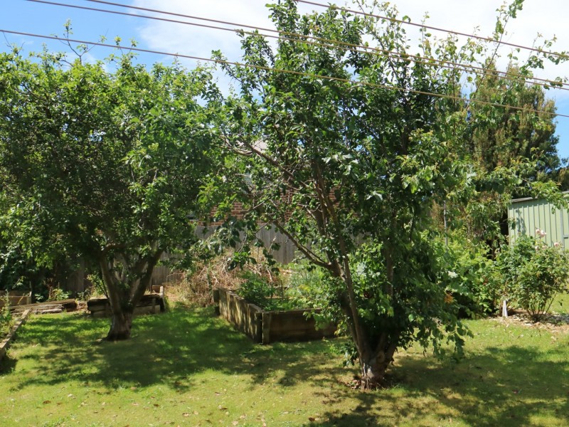 22 Mills Road, Park Grove TAS 7320