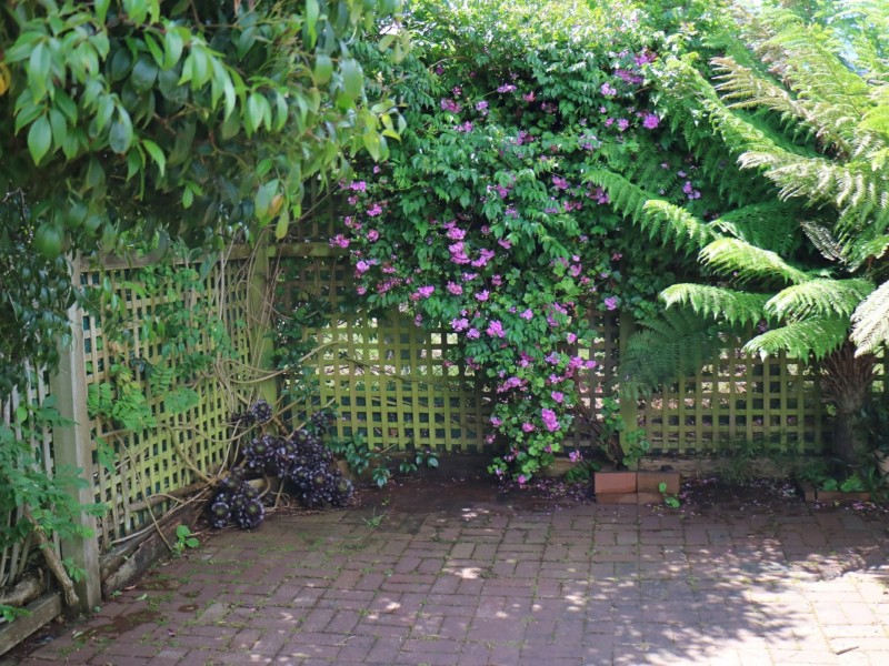 22 Mills Road, Park Grove TAS 7320