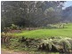 7 Trafford Street, Strahan TAS 7468